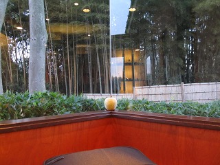 e0202031_2185547.jpg