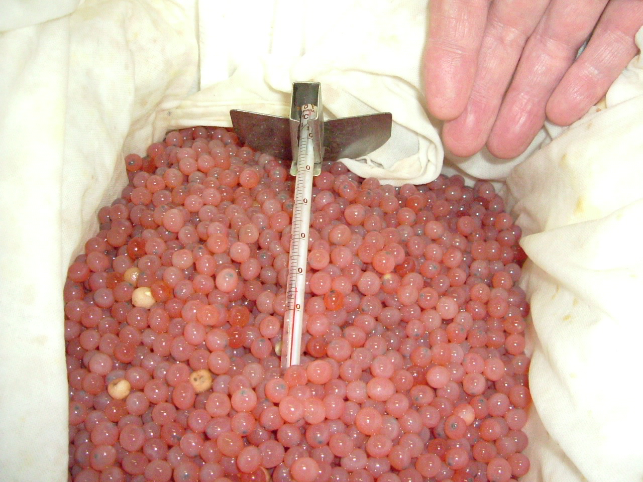 c0185132_11424398.jpg