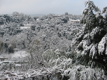 雪のペルージャ_f0234936_1585357.jpg