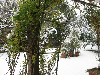 雪のペルージャ_f0234936_159145.jpg