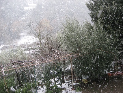 雪のペルージャ_f0234936_1593284.jpg
