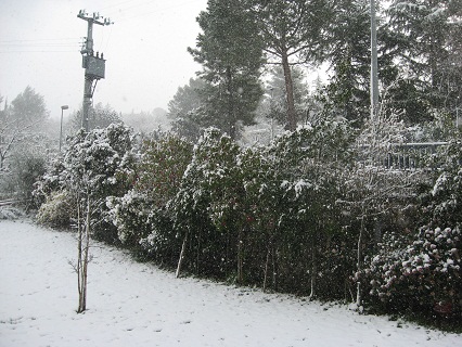 雪のペルージャ_f0234936_159512.jpg