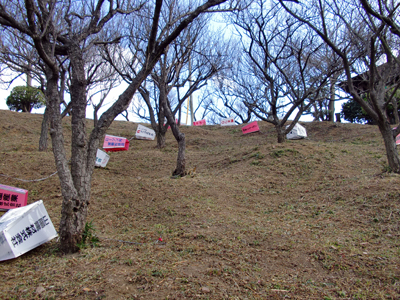 e0110940_12657.jpg