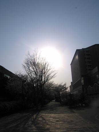 b0028845_0345890.jpg