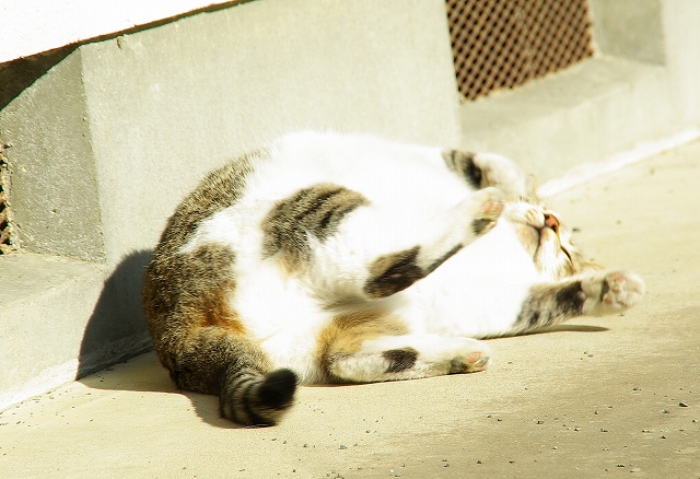 d0041158_232692.jpg
