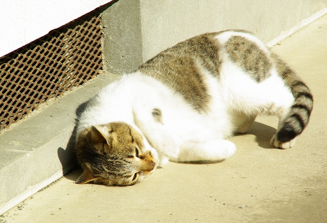 d0041158_233874.jpg