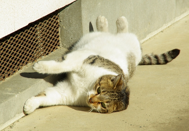 d0041158_2341519.jpg