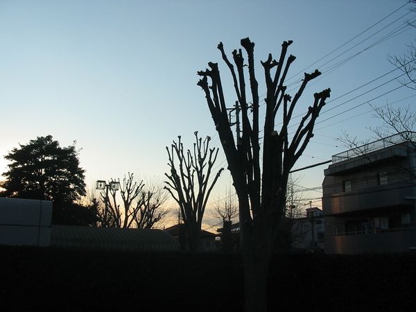 c0115660_15543966.jpg