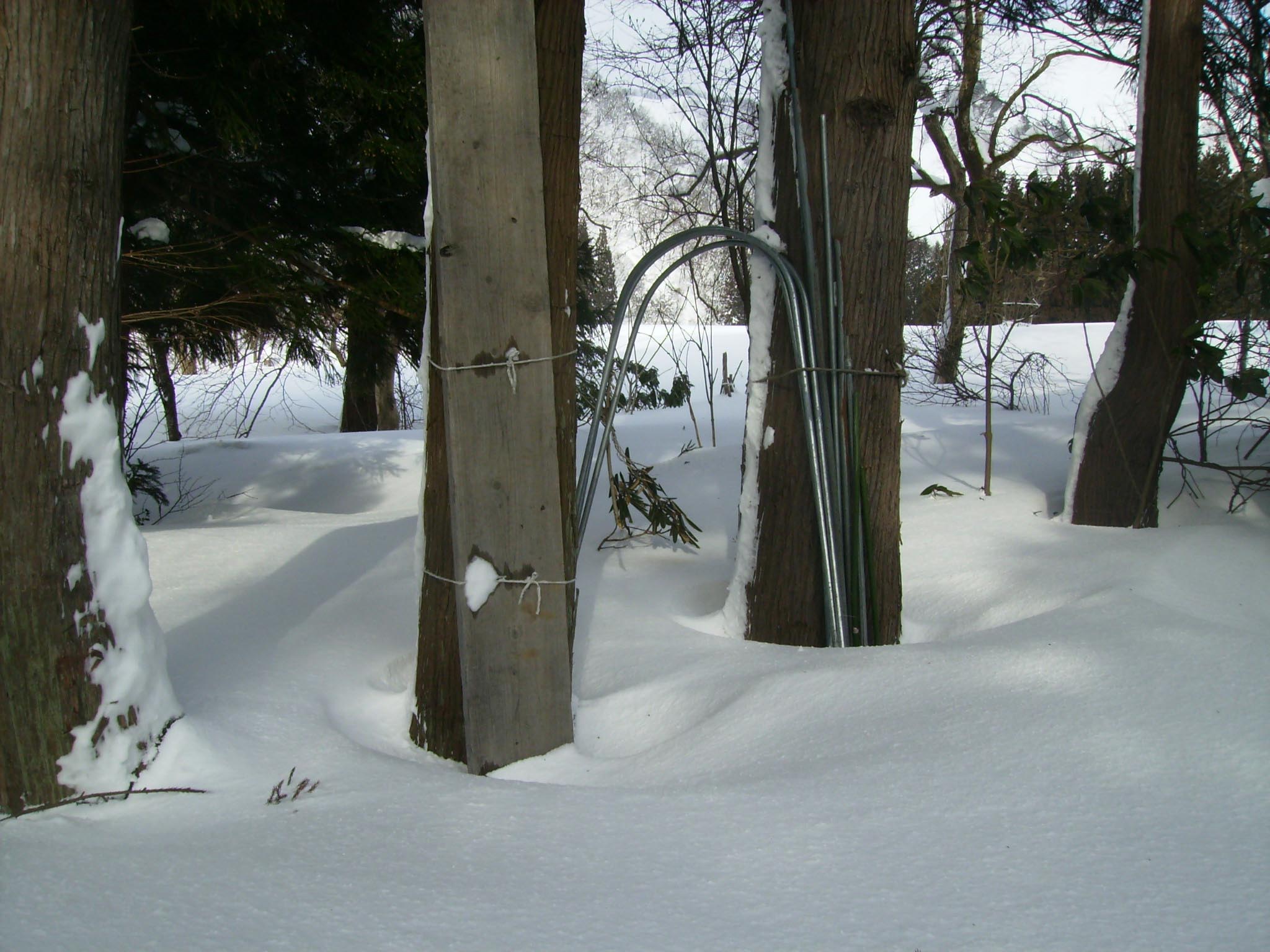c0188860_17613.jpg