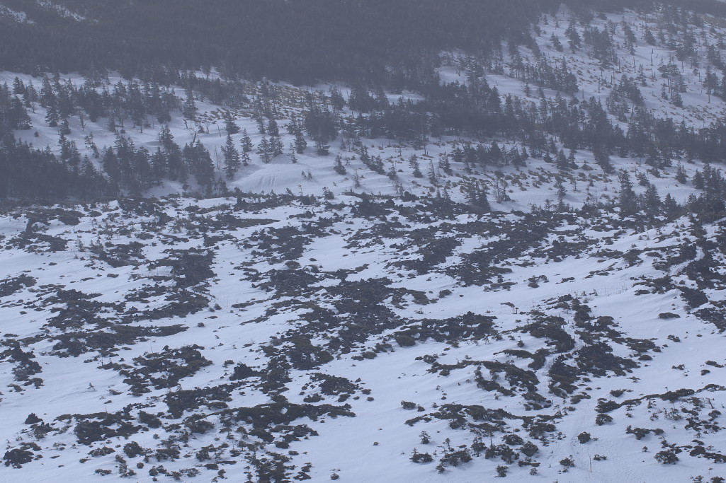 f0171065_2323311.jpg