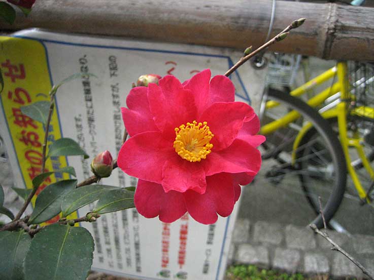 b0057679_914981.jpg