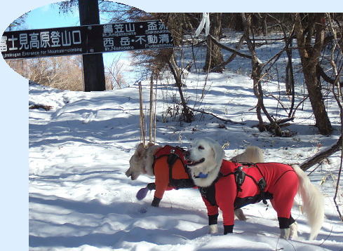 西岳（その１）　1月25日（火）　_b0136381_20241870.jpg