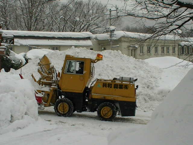 ふつぅに雪_a0140584_10142639.jpg