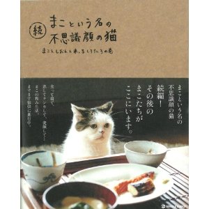 まこという名の不思議顔の猫と、富士丸（犬猫ブログを読んで思う）_e0170687_11113636.jpg