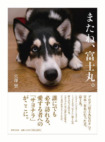 まこという名の不思議顔の猫と、富士丸（犬猫ブログを読んで思う）_e0170687_1154467.jpg