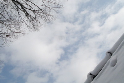f0103797_2022110.jpg