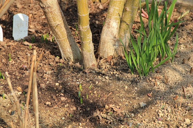 a0123003_15241478.jpg