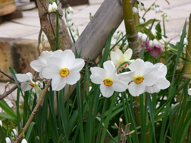 a0123003_15381175.jpg