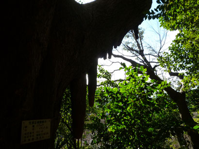 f0036603_18142048.jpg