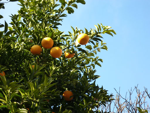f0036603_18152165.jpg