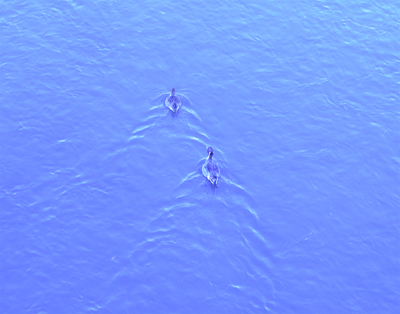 e0177207_3451966.jpg