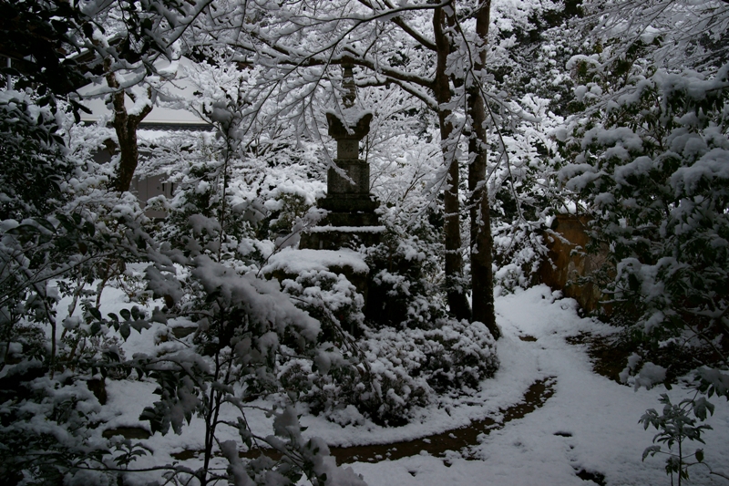 雪の西明寺_e0177413_11542081.jpg