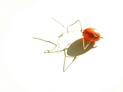 201101222.jpg