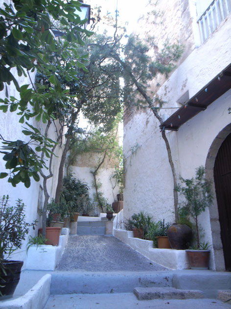 c0097932_583953.jpg