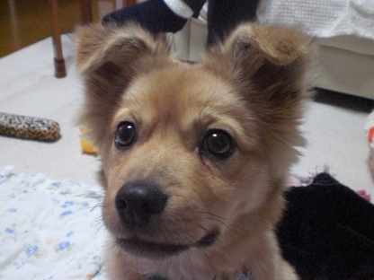 d0169340_1352497.jpg
