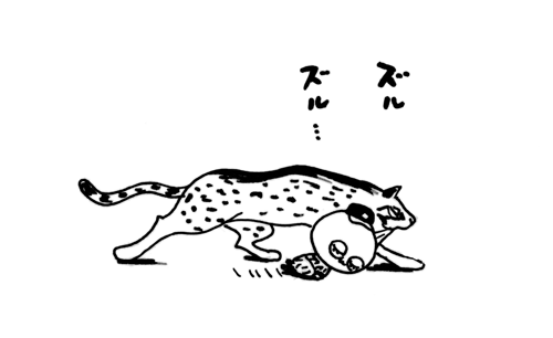 1月27日(木)_f0105741_12441058.gif