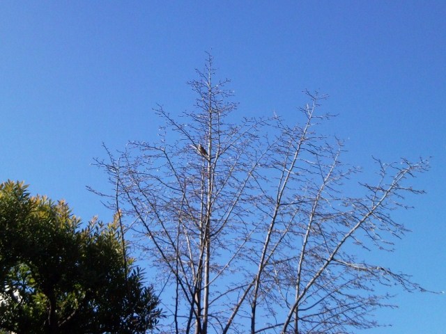 e0150843_1831488.jpg