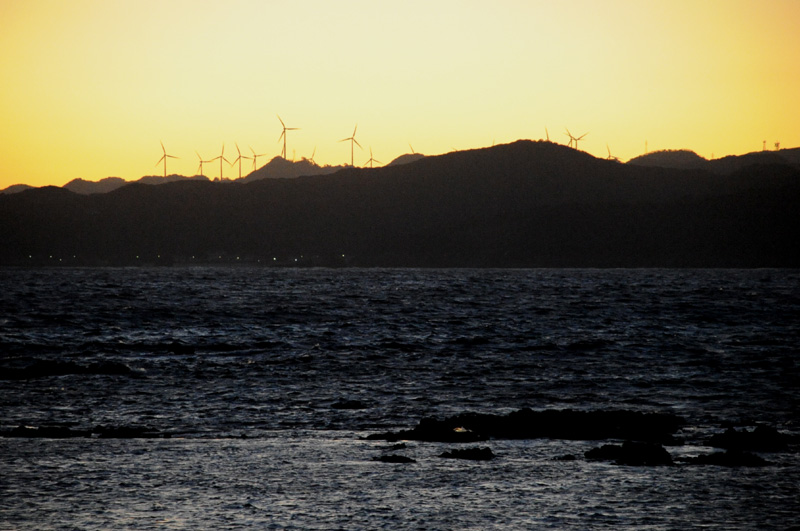 b0067346_16692.jpg
