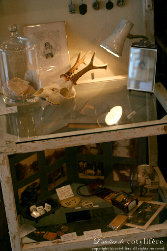 e0073946_6593619.jpg
