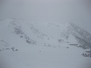 e0064647_023784.jpg