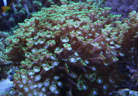 a0162261_20431285.jpg