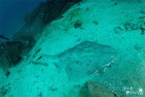e0158261_071459.jpg