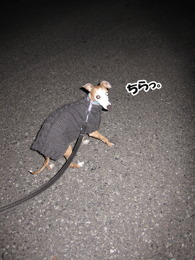 f0158862_20151794.gif