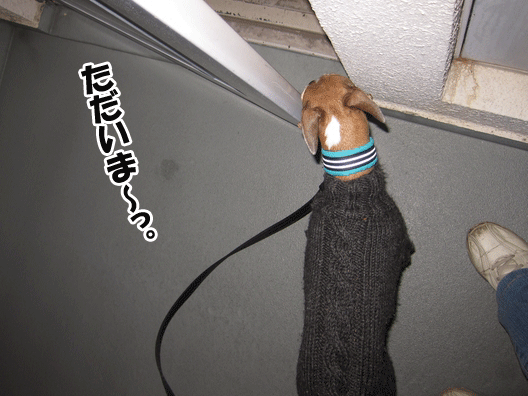 f0158862_20153093.gif