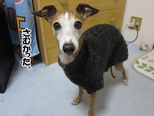 f0158862_20154259.gif