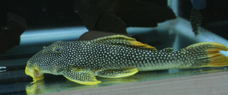 a0162263_2130030.jpg
