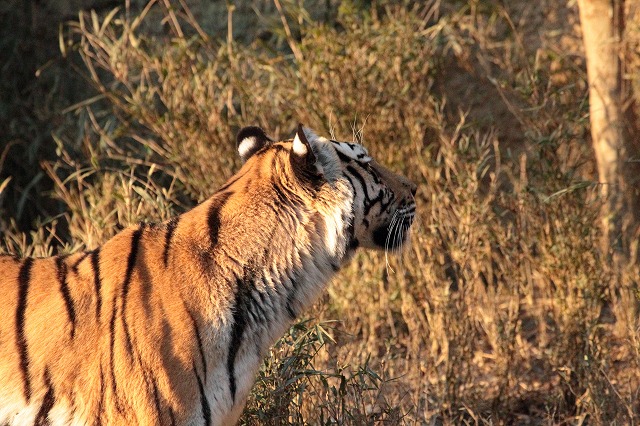 a0188771_7464719.jpg