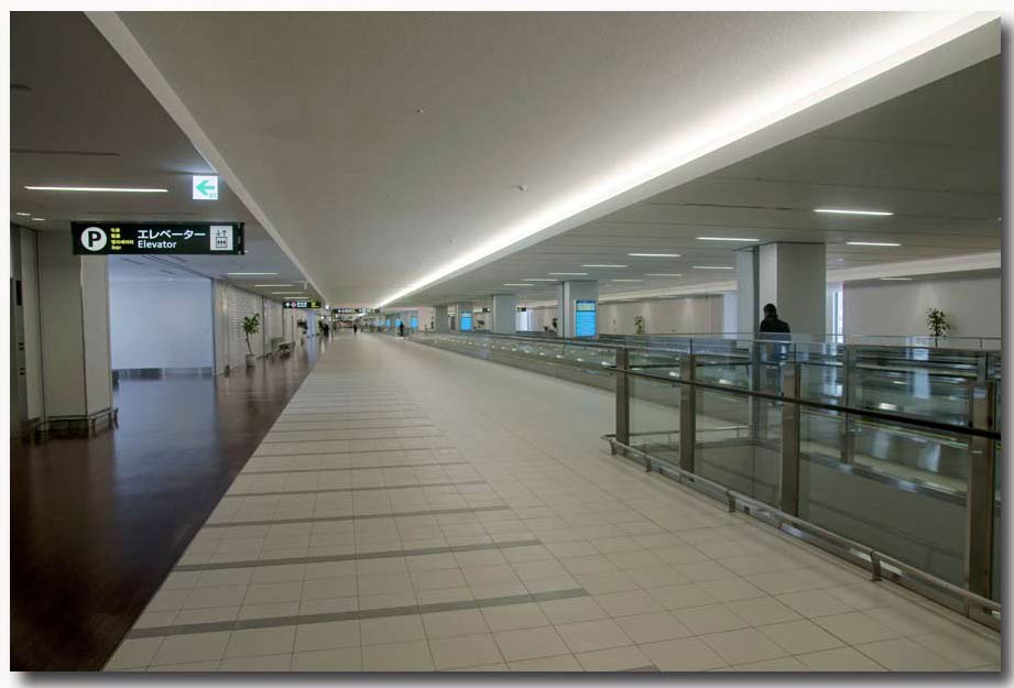 e0046471_8382336.jpg
