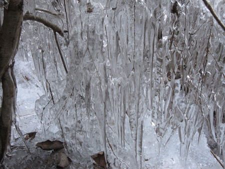 b0032079_22431017.jpg