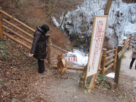 b0032079_22532217.jpg