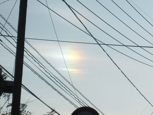 b0182884_372645.jpg