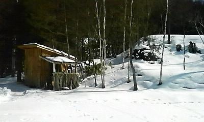 a0130586_2012122.jpg