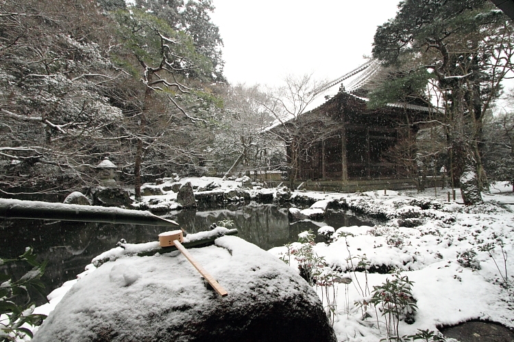 雪の蓮華寺_e0051888_2110660.jpg