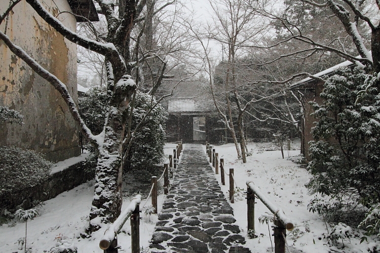 雪の蓮華寺_e0051888_21113335.jpg