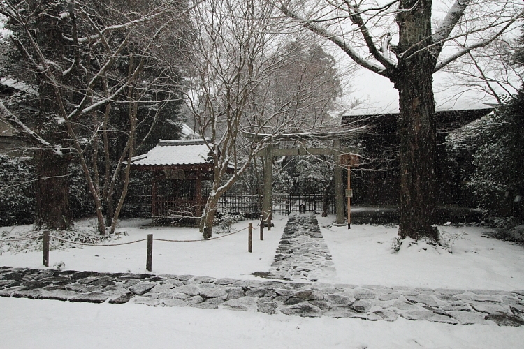 雪の蓮華寺_e0051888_21124951.jpg