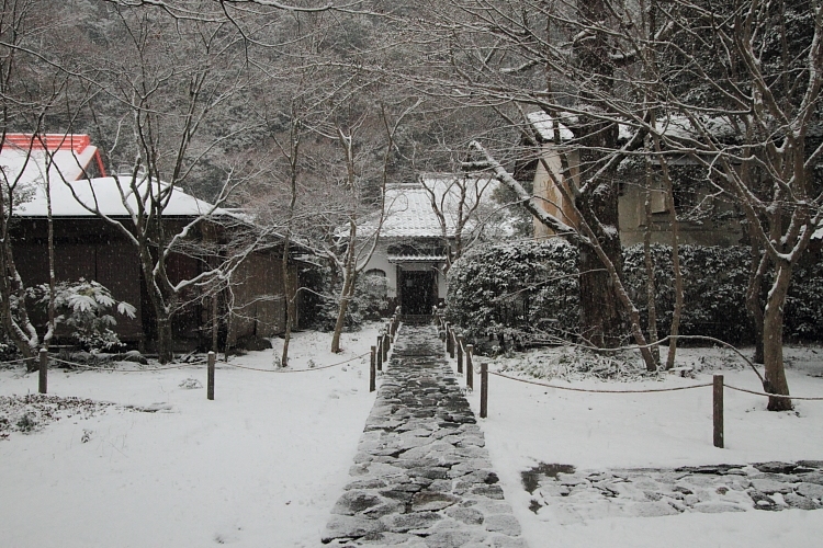 雪の蓮華寺_e0051888_2113573.jpg